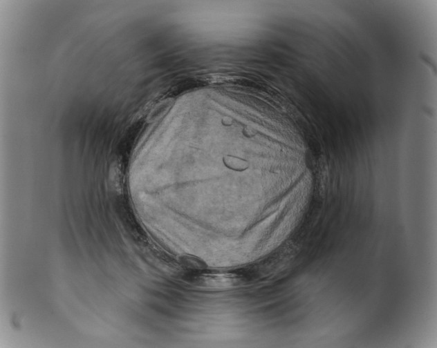 X0000100410316200806271450