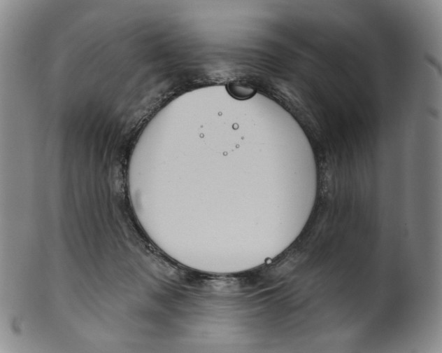 X0000100410317200806271450