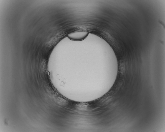 X0000100410318200806271450