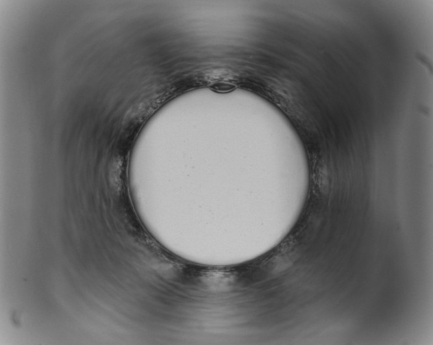 X0000100410319200806271450