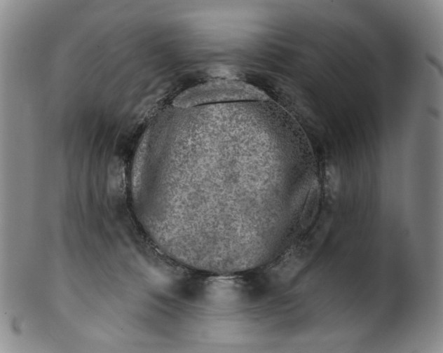 X0000100410320200806271450