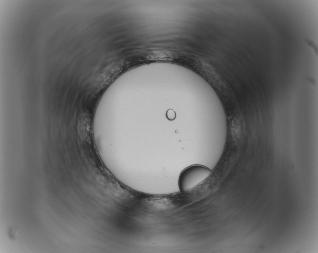 X0000100410322200806271449