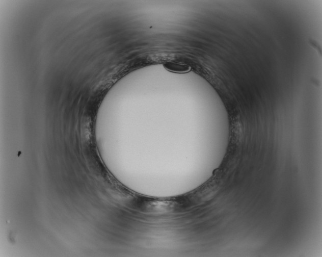 X0000100410323200806271449