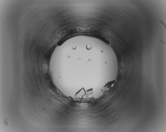 X0000100410324200806271449