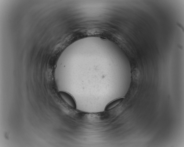 X0000100410327200806271449