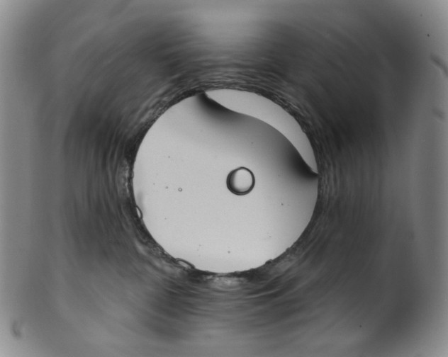 X0000100410332200806271449