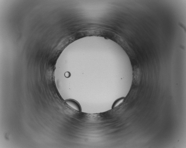 X0000100410333200806271449