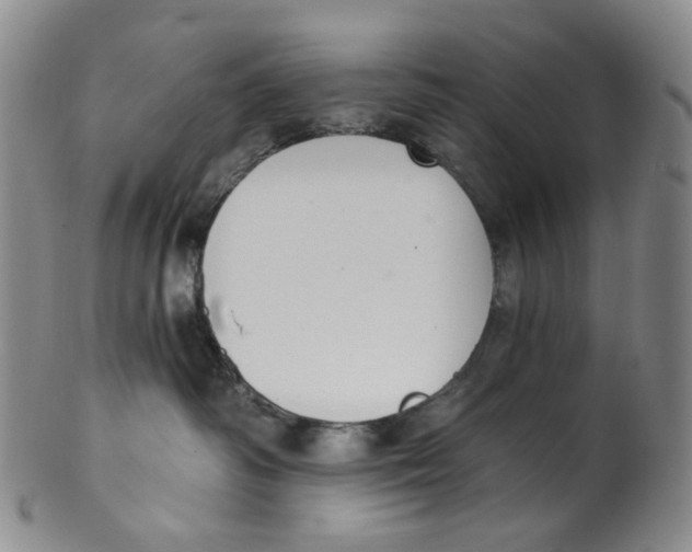 X0000100410334200806271449