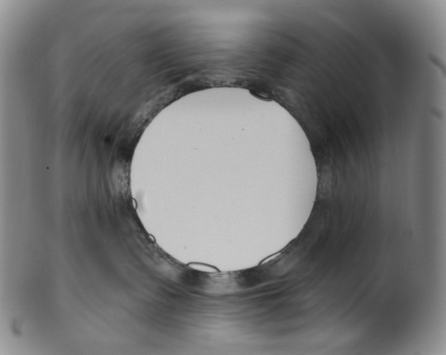 X0000100410335200806271449