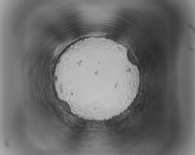 X0000100410337200806271448