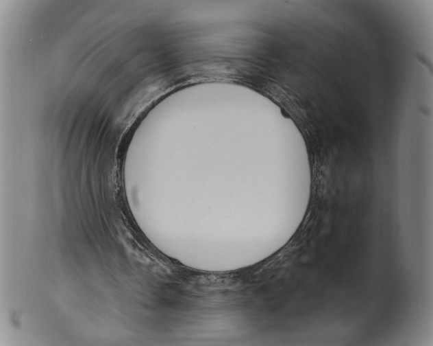 X0000100410338200806271448