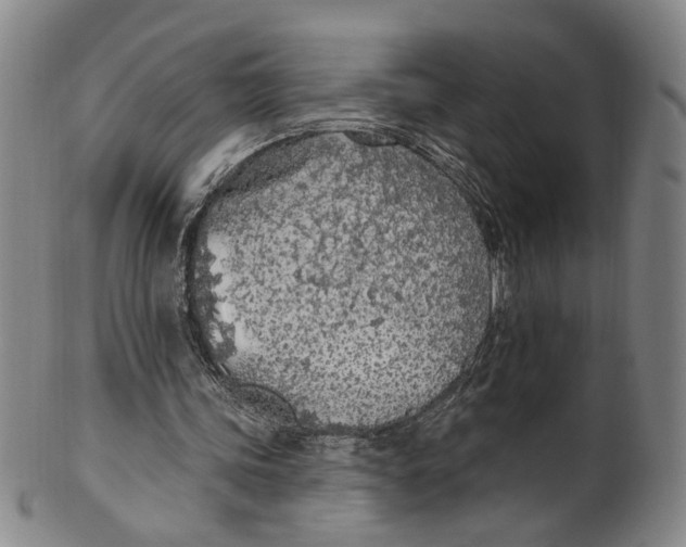 X0000100410339200806271448