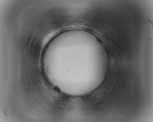 X0000100410340200806271448