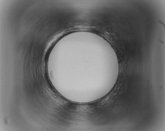 X0000100410342200806271449