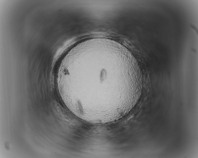 X0000100410343200806271449