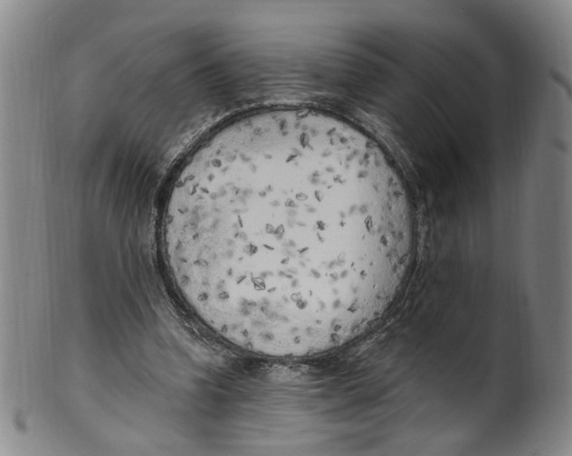 X0000100410346200806271449