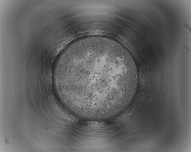 X0000100410347200806271449