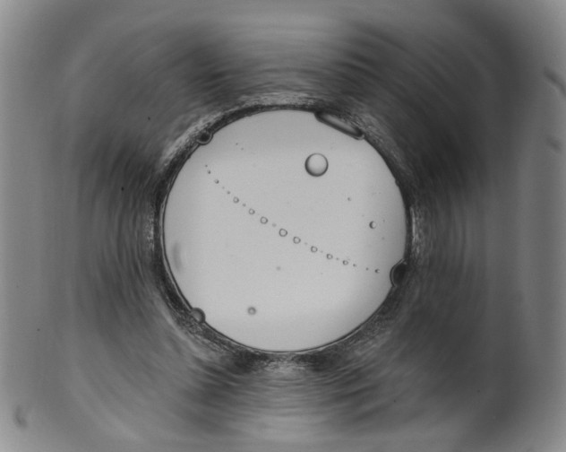 X0000100410348200806271449