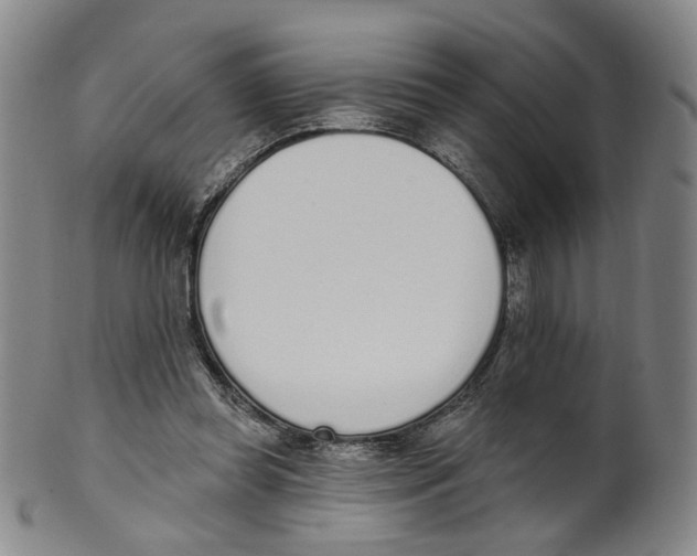 X0000100410349200806271449