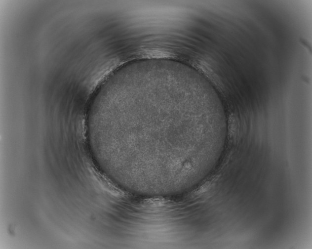 X0000100410351200806271449