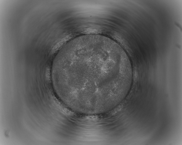 X0000100410353200806271449