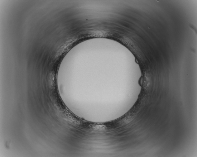 X0000100410355200806271449