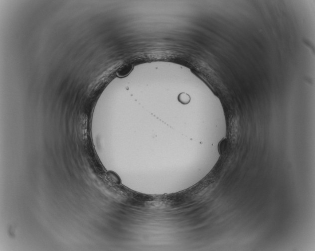 X0000100410356200806271449