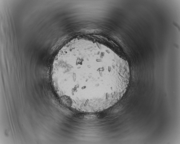 X0000100410357200806271449