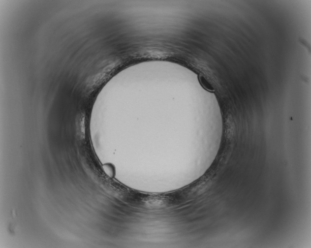 X0000100410358200806271449