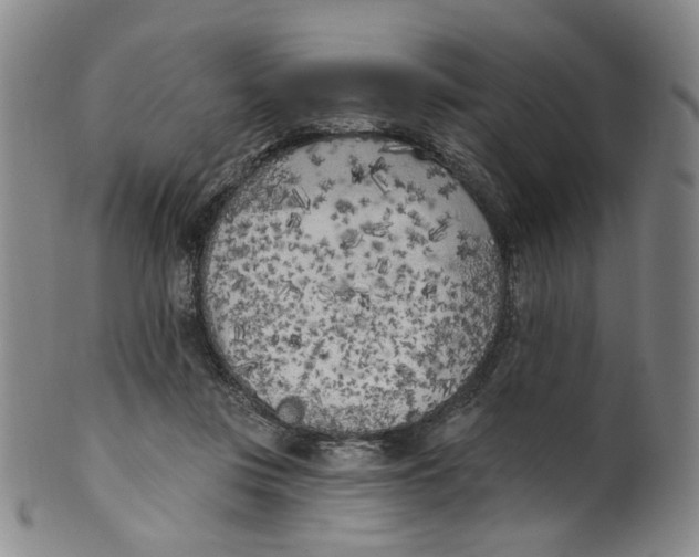 X0000100410359200806271449