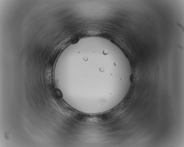 X0000100410360200806271449