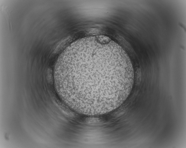 X0000100410361200806271449