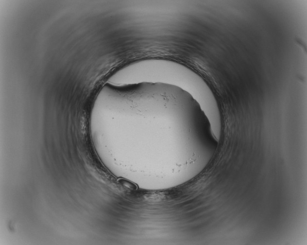 X0000100410362200806271449