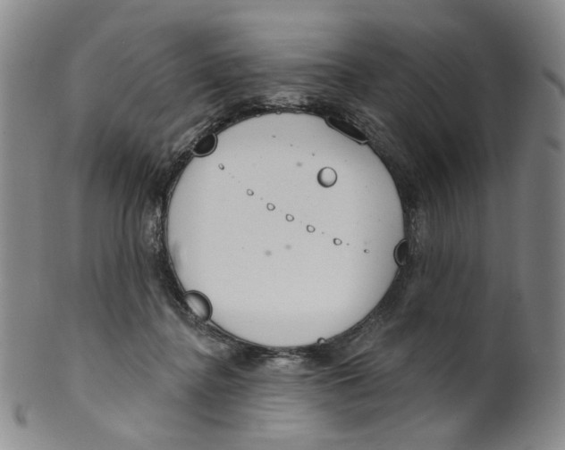 X0000100410364200806271449