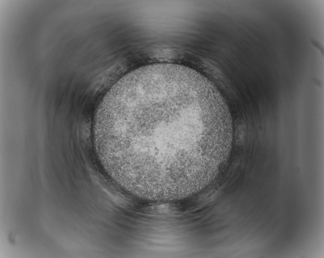 X0000100410365200806271449