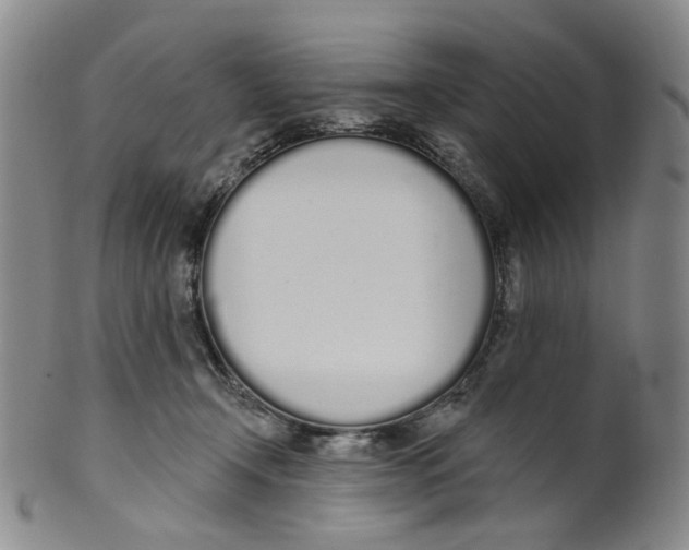 X0000100410366200806271449