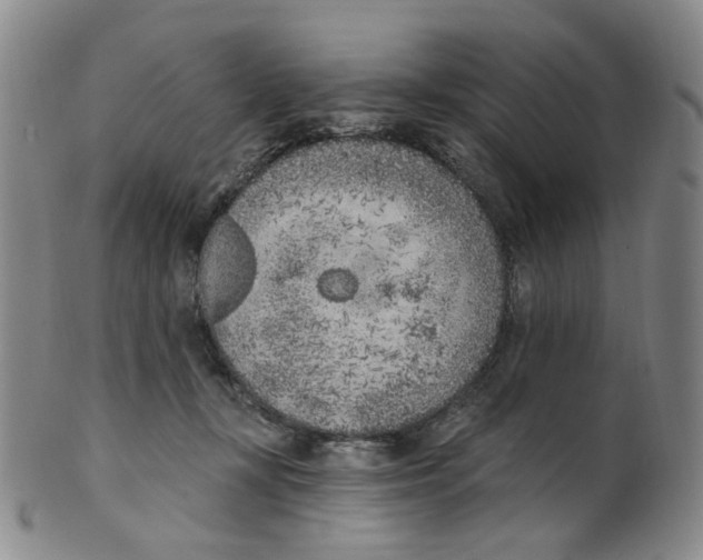 X0000100410367200806271449