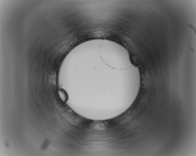 X0000100410368200806271449