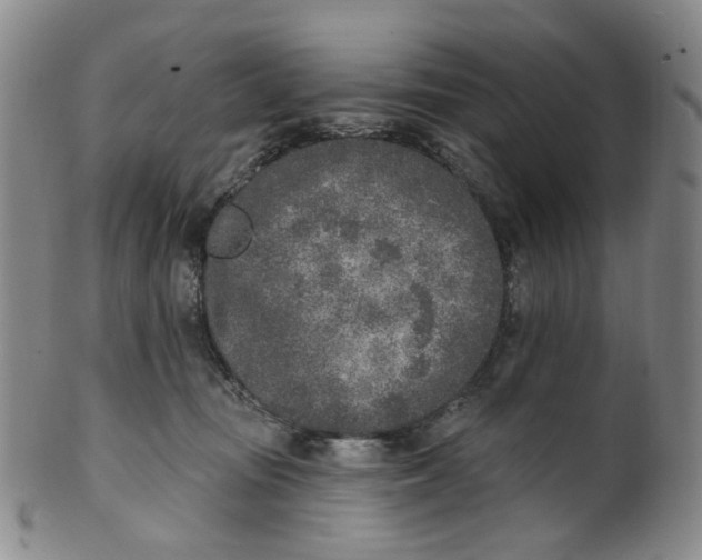 X0000100410371200806271449