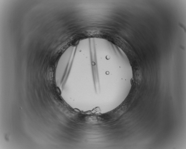 X0000100410372200806271449