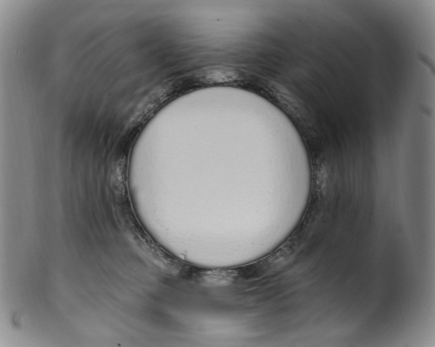 X0000100410373200806271449