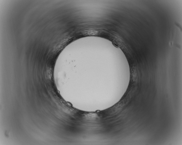 X0000100410374200806271449