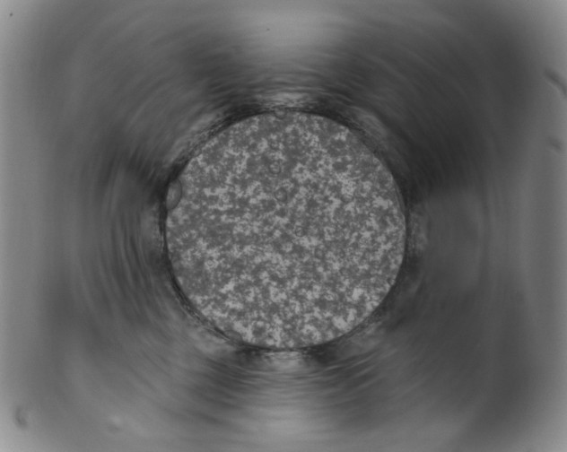 X0000100410377200806271449