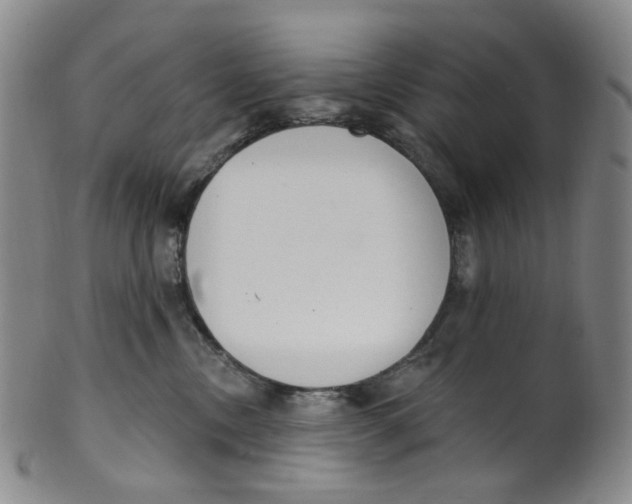 X0000100410378200806271449