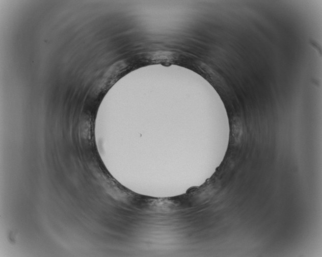 X0000100410379200806271449