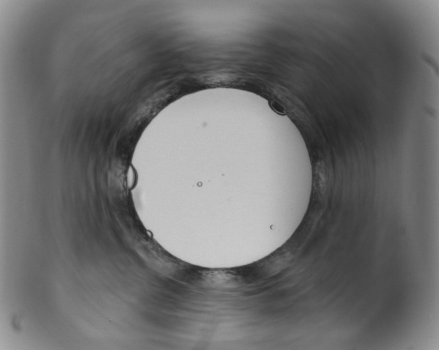 X0000100410380200806271449