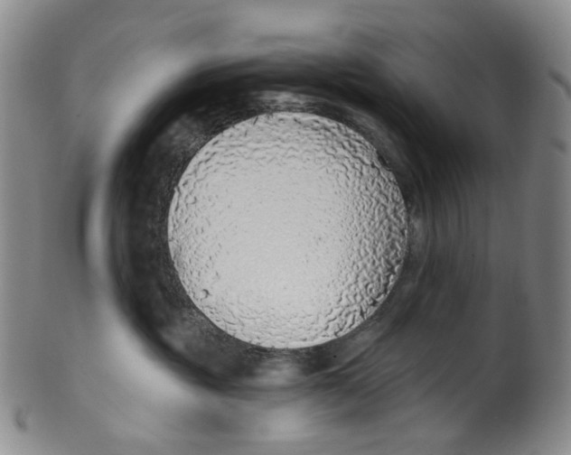 X0000100410381200806271449