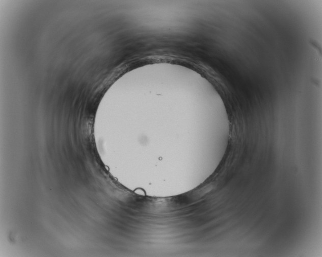 X0000100410382200806271449