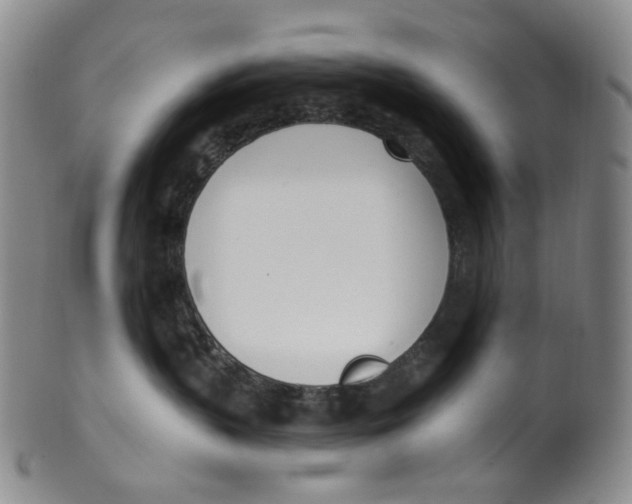 X0000100410383200806271449