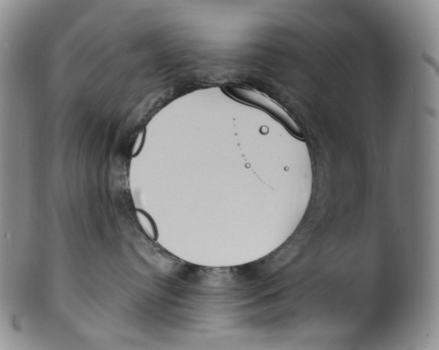 X0000100410384200806271449